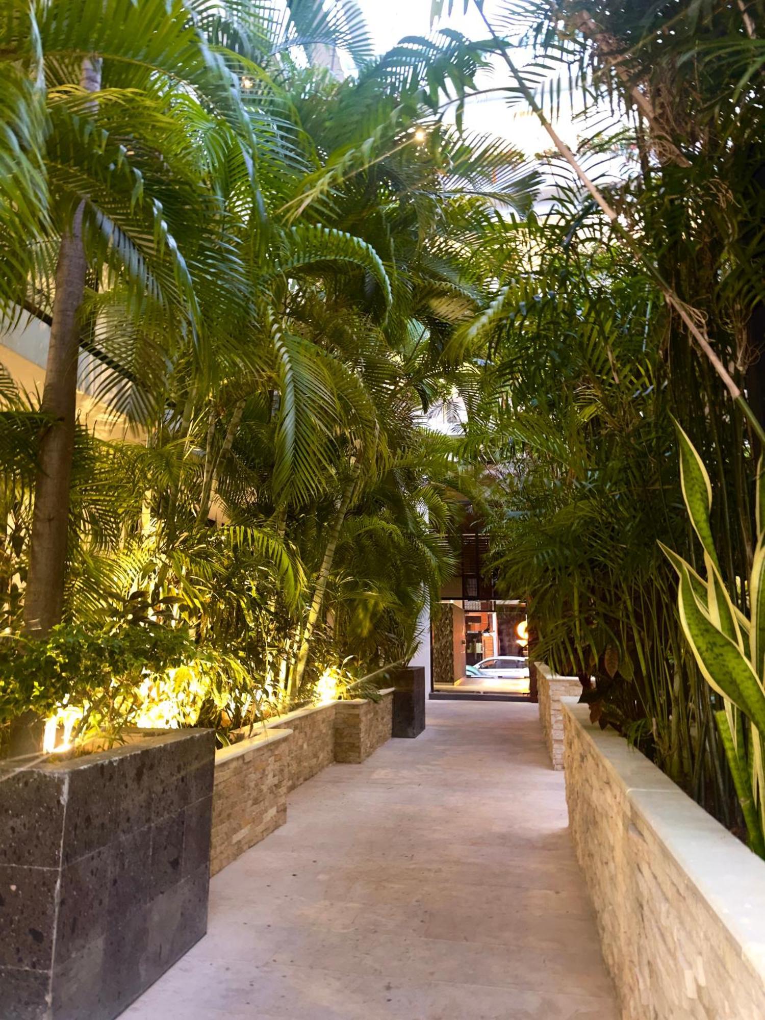 The City Condos By Menesse Playa del Carmen Exterior photo